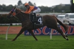 T.J. Smith Stakes An Option For Expressway Stakes Winner Our Boy Malachi T.J. Smith Stakes An Option For Expressway Stakes Winner Our Boy Malachi