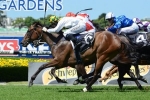 Three late entries paid up for Golden Slipper
