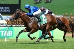 Sarajevo maintains favouritism for Chester Manifold Stakes