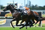 Vancouver back on track for Golden Slipper