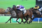 Futurity Stakes A Winnable Race For Driefontein