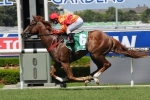 Kencella to use his speed in The July Sprint