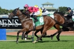 Burbero on Epsom trial in The July Sprint Burbero on Epsom trial in The July Sprint