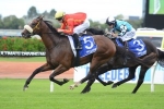 Centre Pivot To Resume At Rosehill Gardens Centre Pivot To Resume At Rosehill Gardens