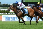 No Blue Diamond Stakes For Serenade