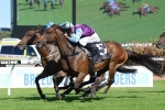 Sons Of John keeps the punters happy in Hawkesbury Gold Cup Sons Of John keeps the punters happy in Hawkesbury Gold Cup