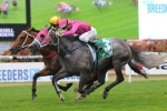 Waller Happy With Wiggle Stakes Contenders