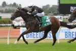 Ecuador The Pick Of Waterhouse’s Hawkesbury Gold Cup Trio