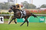 Caulfield Guineas The Spring Aim For Southern Icon Caulfield Guineas The Spring Aim For Southern Icon