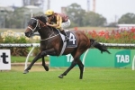 Caulfield Guineas On The Agenda For Vespa