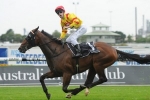 No Golden Slipper for Fighting Sun No Golden Slipper for Fighting Sun