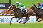 Wet track to help Mossfun find best form in Arrowfield Sprint