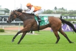 Bennetta Well Placed In Yellowglen Stakes