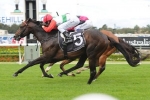 2014 All Aged Stakes Tips: Rebel Dane The Horse To Beat