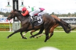 Rebel Dane revved up for Missile Stakes