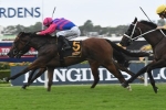 Randwick Guineas Next for Hobartville Stakes Winner Man From Uncle Randwick Guineas Next for Hobartville Stakes Winner Man From Uncle