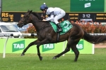 2017 Golden Slipper Favourite Capable of Starting Well 2017 Golden Slipper Favourite Capable of Starting Well