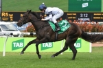 She Will Reign remains Golden Slipper favourite despite 1st defeat