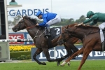 More improvement for Astern heading to Golden Slipper Stakes