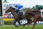 Astern To Improve From Todman Stakes Astern To Improve From Todman Stakes