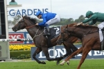 Astern can win Golden Slipper from outside barrier