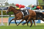 First Seal Favourite In Canterbury Stakes Betting