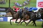 2015 Hobartville Stakes Results: Hallowed Crown Scores Thrilling Win 2015 Hobartville Stakes Results: Hallowed Crown Scores Thrilling Win