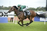 Headwater To Resume In Kensington Stakes