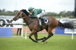 Headwater To Resume In Kensington Stakes Headwater To Resume In Kensington Stakes
