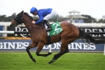 Savatiano firms in Coolmore Classic betting after Millie Fox Stakes win