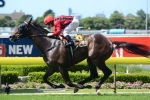 Laser Hawk back to G1 company in All Aged Stakes