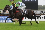 Dissident Ready To Run Well In Memsie Stakes