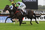 Atlante Joins Team Hawkes For Spring Campaign Atlante Joins Team Hawkes For Spring Campaign