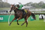 Mossfun Impressive Ahead of Autumn Racing Return