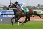 Wet Track Gives Opinion The Edge In Manion Cup