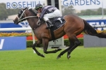 Wet track to entice Red Tracer for George Ryder Stakes Wet track to entice Red Tracer for George Ryder Stakes