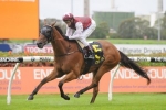 Bello takes out Newcastle Newmarket Handicap Bello takes out Newcastle Newmarket Handicap