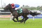 Pierro keeps Sydney record intact with Hobartville Stakes win