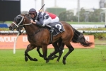 Waller and Begg not worried about a wet Rosehill track