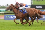 Sweet Idea Headlines Silver Shadow Stakes Nominations Sweet Idea Headlines Silver Shadow Stakes Nominations