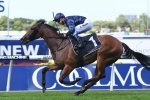 Tulip No Golden Slipper Certainty After Magic Night Stakes Win Tulip No Golden Slipper Certainty After Magic Night Stakes Win