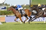 It’s Somewhat Wins Ajax Stakes It’s Somewhat Wins Ajax Stakes