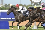 2016 Coolmore Classic Results: Peeping Wins 2016 Coolmore Classic Results: Peeping Wins