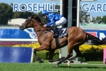 Hartnell To The BMW Following Sky High Stakes Win
