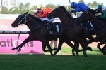 Burbero Scores Narrow Win In Ajax Stakes Burbero Scores Narrow Win In Ajax Stakes