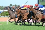 Plucky Belle Secures Maiden Group 1 in Coolmore Classic Plucky Belle Secures Maiden Group 1 in Coolmore Classic
