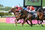 Six fillies make up Silver Shadow Stakes field Six fillies make up Silver Shadow Stakes field