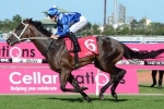 Waller Hoping Winx Can Settle In 2015 Sunshine Coast Guineas