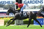 Auvray storms into Sydney Cup calculations with Sky High Stakes win