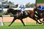 Sunlight cements Golden Slipper Stakes favouritism with Magic Night Stakes win